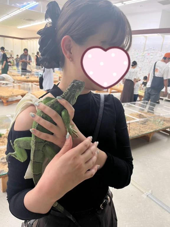 見てたよー