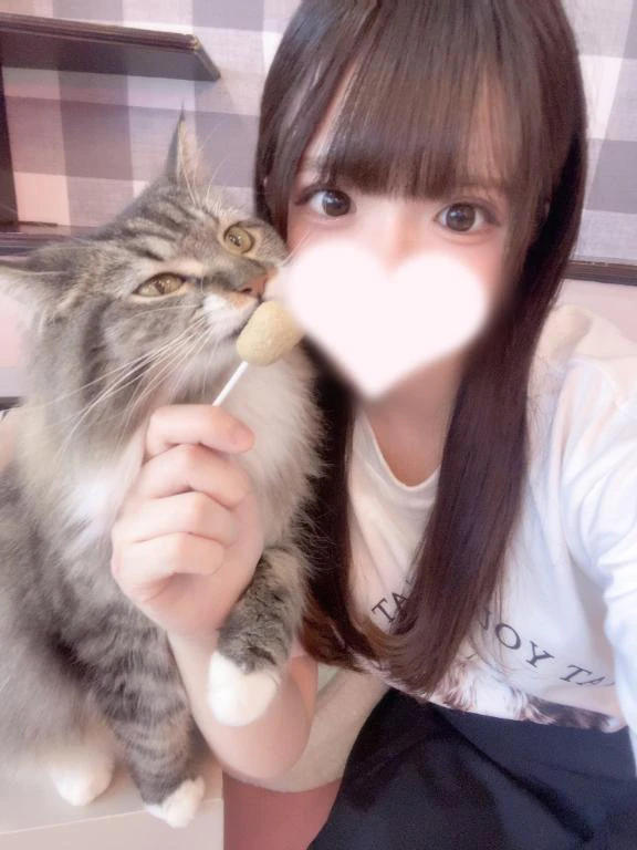 残りわずか！