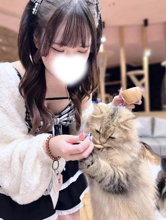にゃんして？